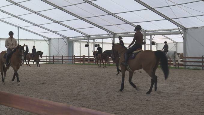 Vor dem CSIO St.Gallen: Pferde müssen zum Gesundheitscheck antraben