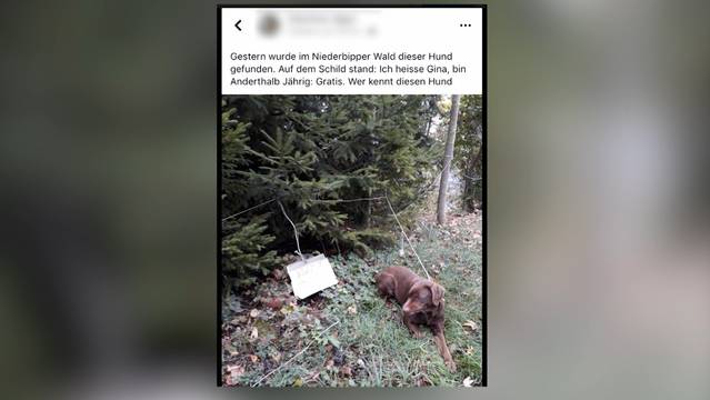 „Ich heisse Gina, bin anderthalbjährig: Gratis.“ 