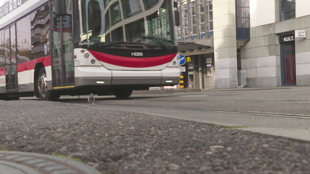 Unter Druck: Busbetrieben laufen die Leute davon