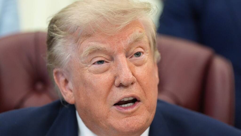 US-Präsident Donald Trump spricht im Oval Office des Weißen Hauses. Foto: Alex Brandon/AP/dpa