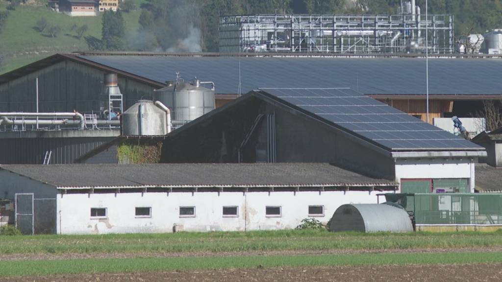 Zu viel Solarstrom - Immer mehr vermarkten diesen selber