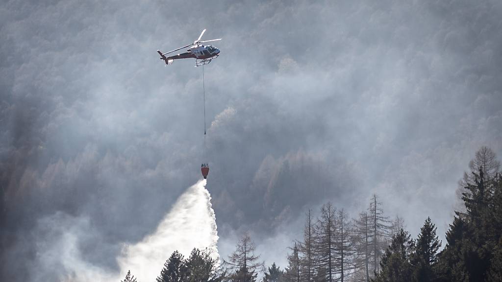 Als der Wald am Monte Gambarogno oberhalb des Lago Maggiore Ende Januar brannte, brauchte die Feuerwehr mehr als zwei Wochen, um das Feuer zu löschen. (Archivbild)