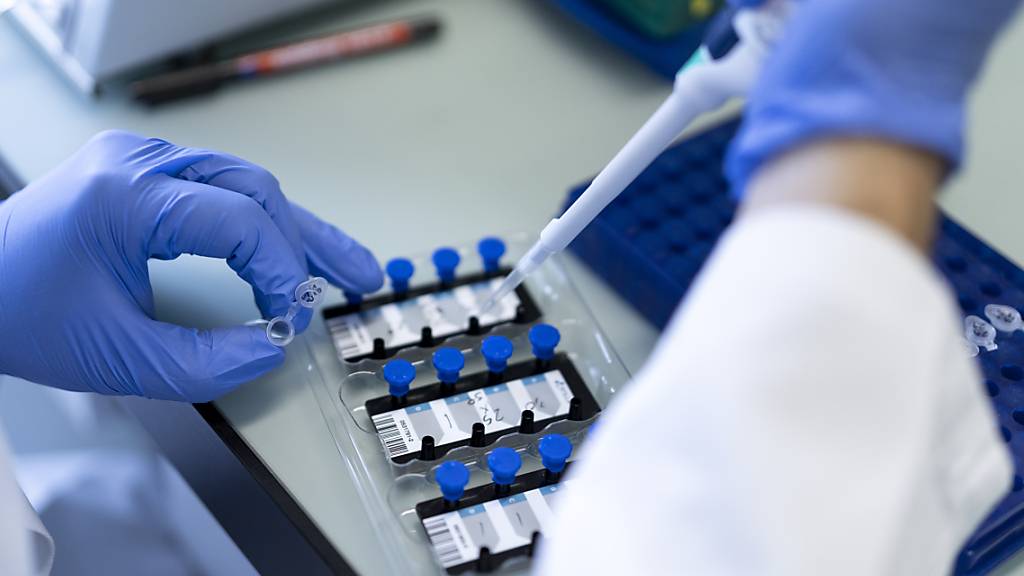 Ein Labormitarbeiter bereitet Abwasserproben zum Nachweis auf Coronaviren auf. (Archivbild)