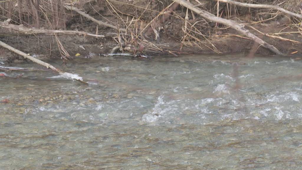 Gegen Sparpaket: Grüne der Region Rorschach kritisieren Massnahmen des Kantons