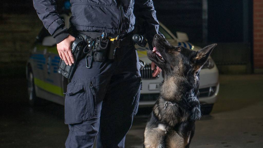 Schuss auf Hundezwinger: Kugel verfehlt Zuger Polizist nur knapp