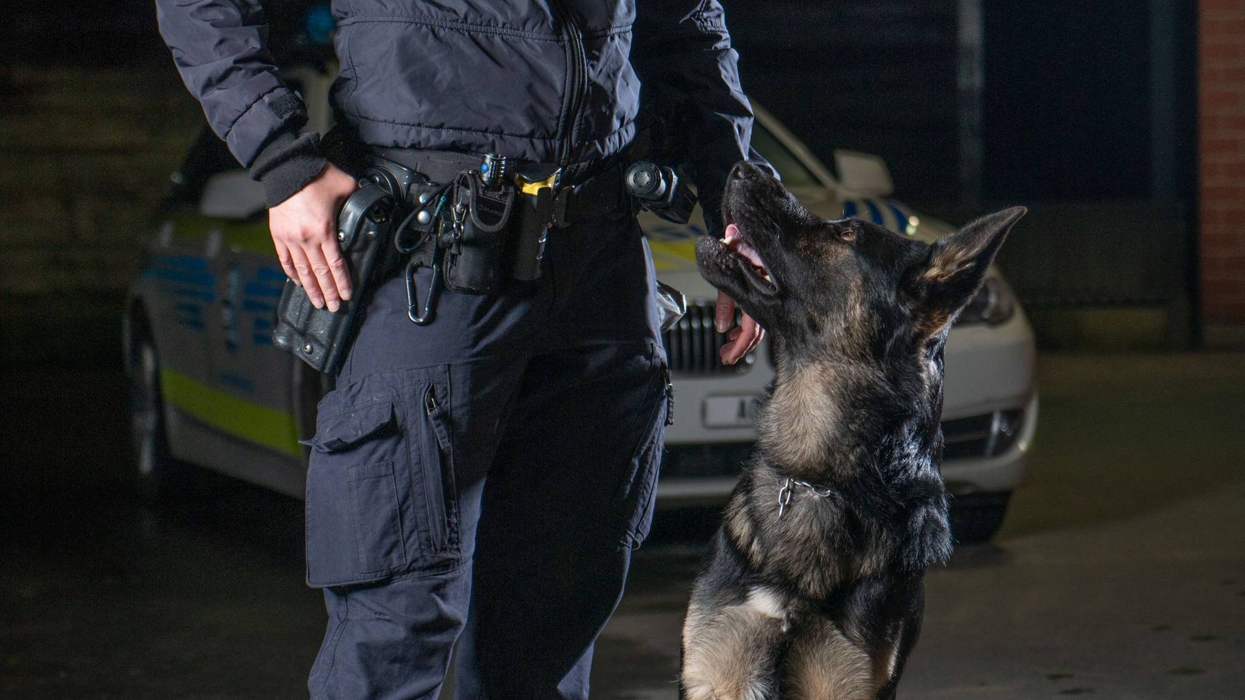 Polizeihund Eyk
