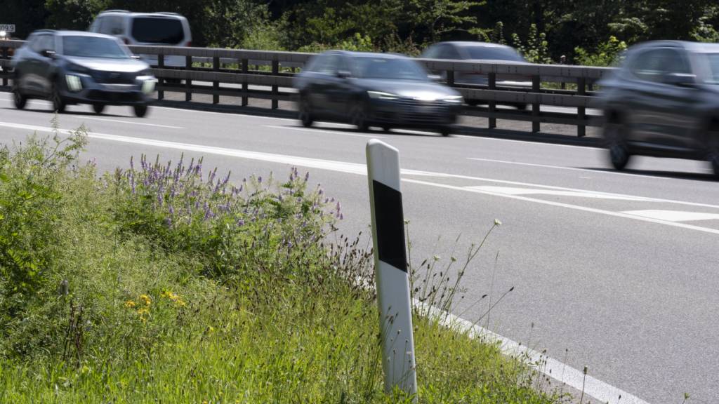 Um den Stau auf der A1 bei Baltenswil zu umfahren, nutzen einige Autofahrer den Rastplatz. (Archivbild)