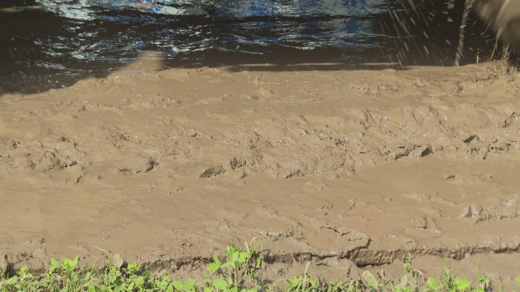 Schlamm im Sittertobel: Aufbau fordert Openair St.Gallen besonders