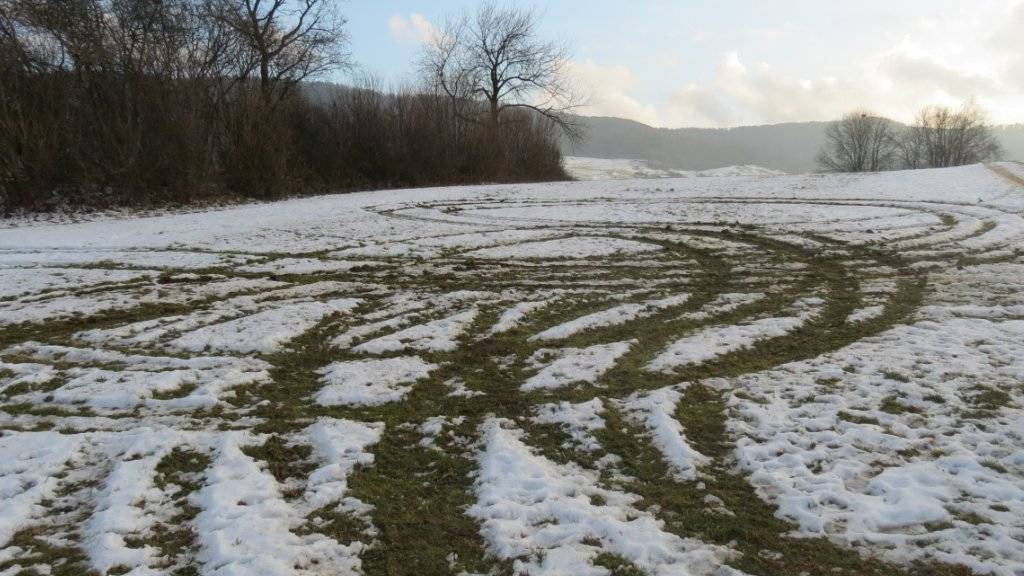 Spuren im Schnee: Ein unbekannter Autolenker drehte auf einem Feld in Schupfart AG unerlaubte Runden.
