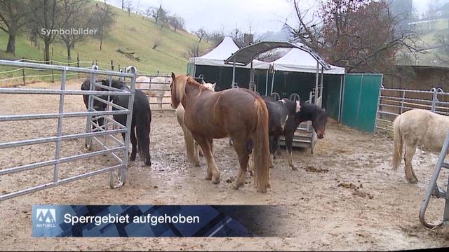 Swissnews