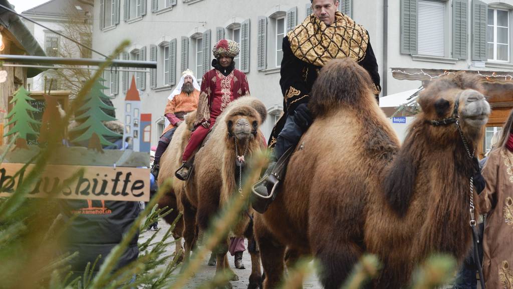 Die drei Könige reiten auf ihren Kamelen durch die Frauenfelder Altstadt