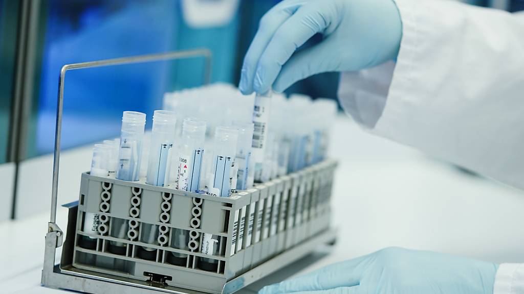 ARCHIV - Ein Mitarbeiter hält in einem Coronatest-Labor PCR-Teströhrchen in den Händen. Foto: Uwe Anspach/dpa