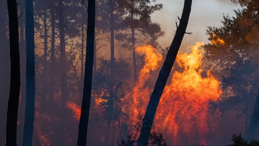 Kampf gegen Waldbrände in Frankreich dauert an