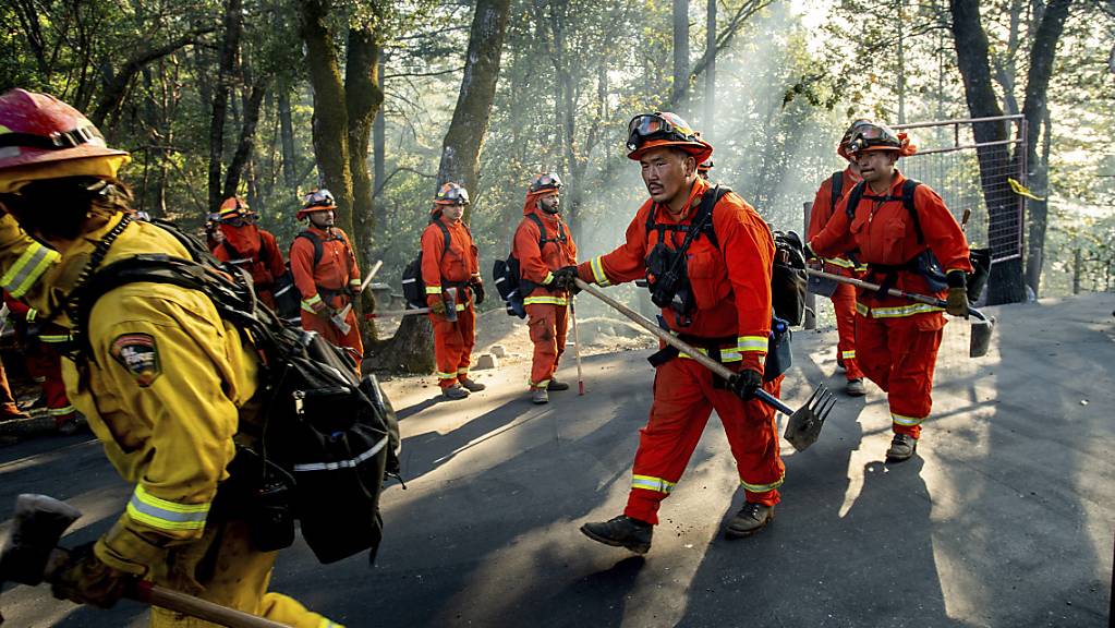 In Kalifornien werden im Bezirk Sonoma im Kampf gegen Buschbrände auch Häftlinge als Feuerwehrleute eingesetzt.