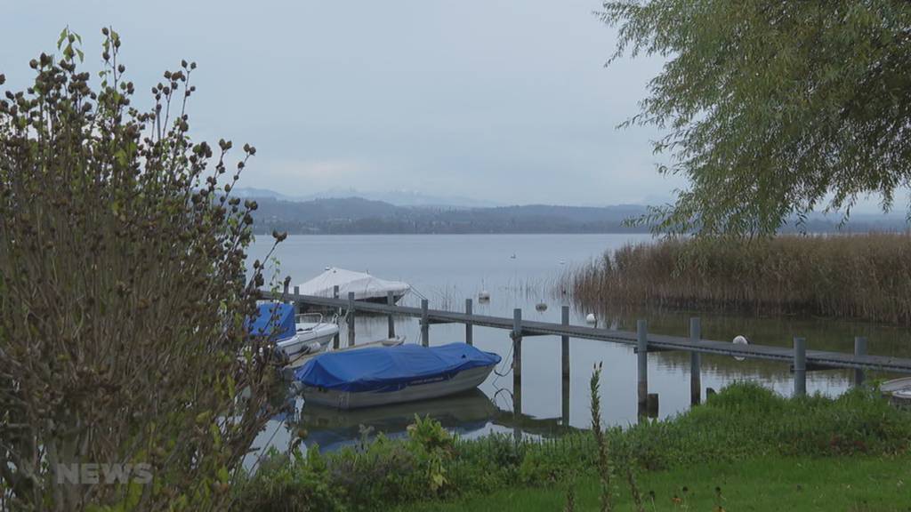 Empörung am Murtensee