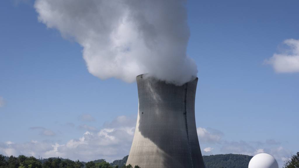 Schweizer Atomenergie laut Greenpeace weiter von Russland abhängig