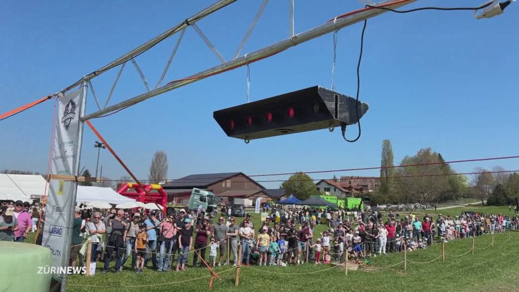 Kleine Rennfahrer auf Quads