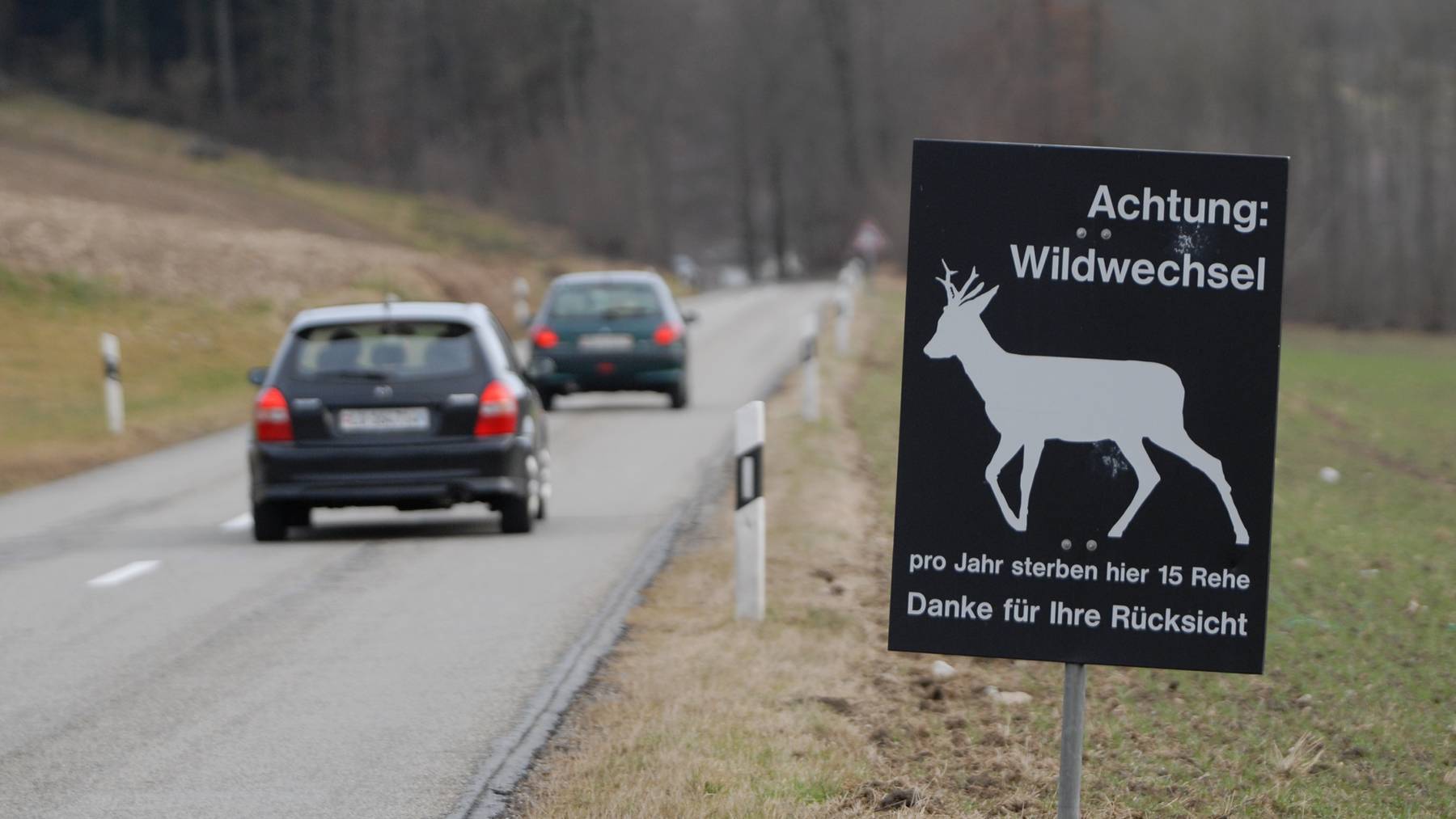 Unfall Reh Wildtiere