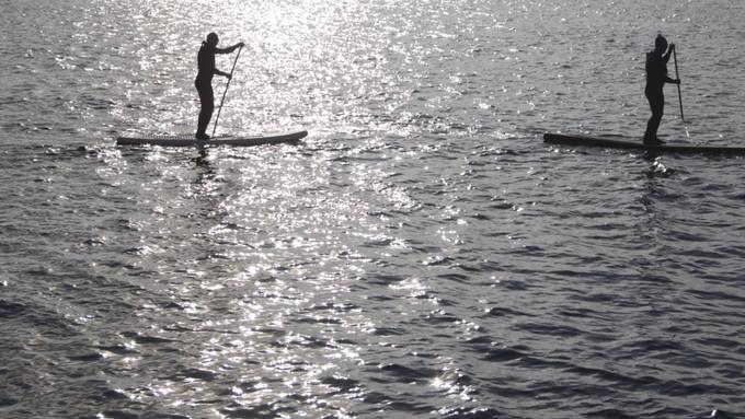 Stand-Up-Paddling stört die Vögel