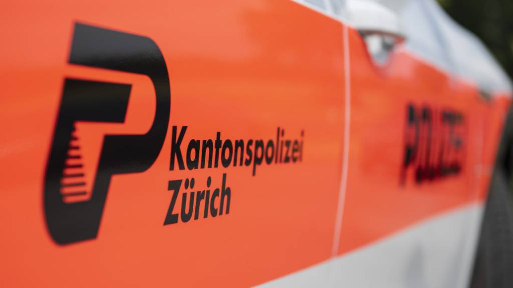 Die Kantonspolizei Zürich schnappte drei Einbrecher. (Symbolbild)