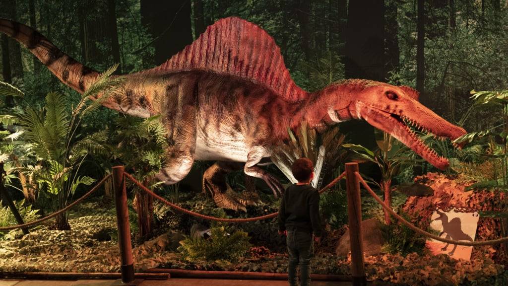 Ein auffälliges Rückensegel hatte auch der Spinosaurus. (Archivbild)