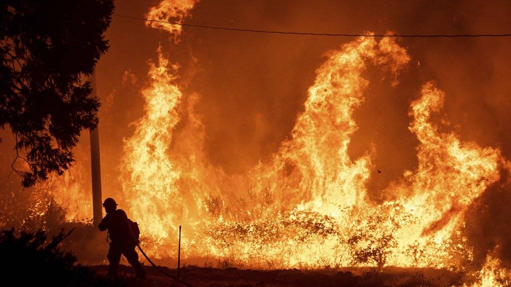Wegen hunderter Brände hat die Feuerwehr in Kalifornien ihr Jahresbudget innert zwei Monaten fast aufgebraucht. Auf dem Bild Flammen des Delta-Fire im Shasta-Trinity Nationalforst.
