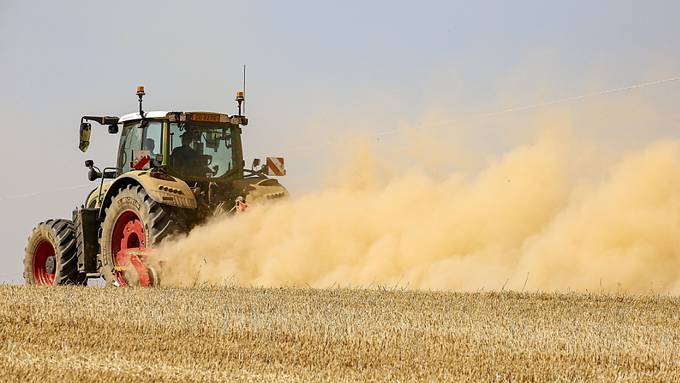 Aargauer Biobauer setzte Pestizide ein – Unkraut hat ihn verraten