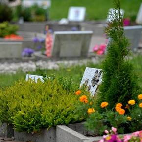 «GuW 386 Tierfriedhof 1» von 05.03.2017.