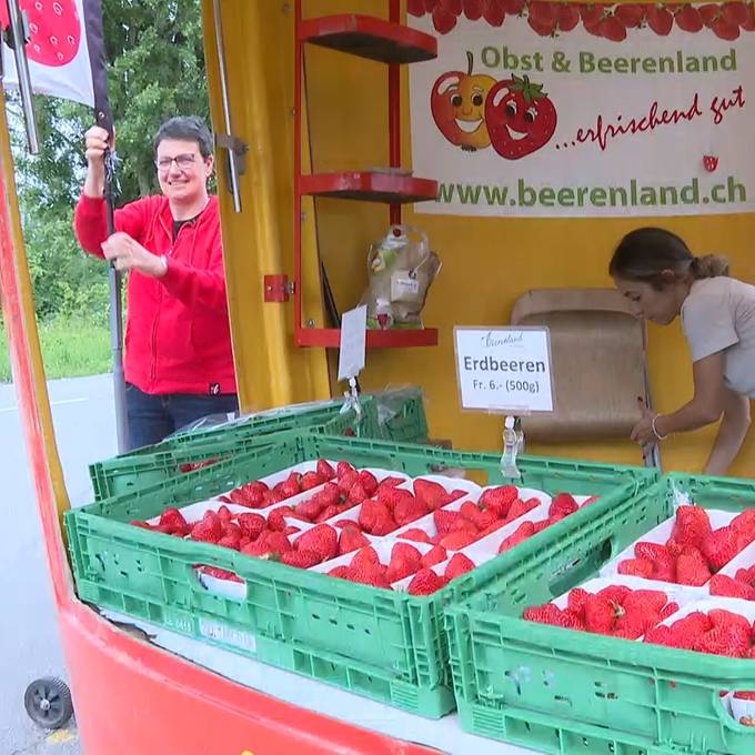 Seeländer Bauernbetrieb freut sich auf die Erdbeersaison