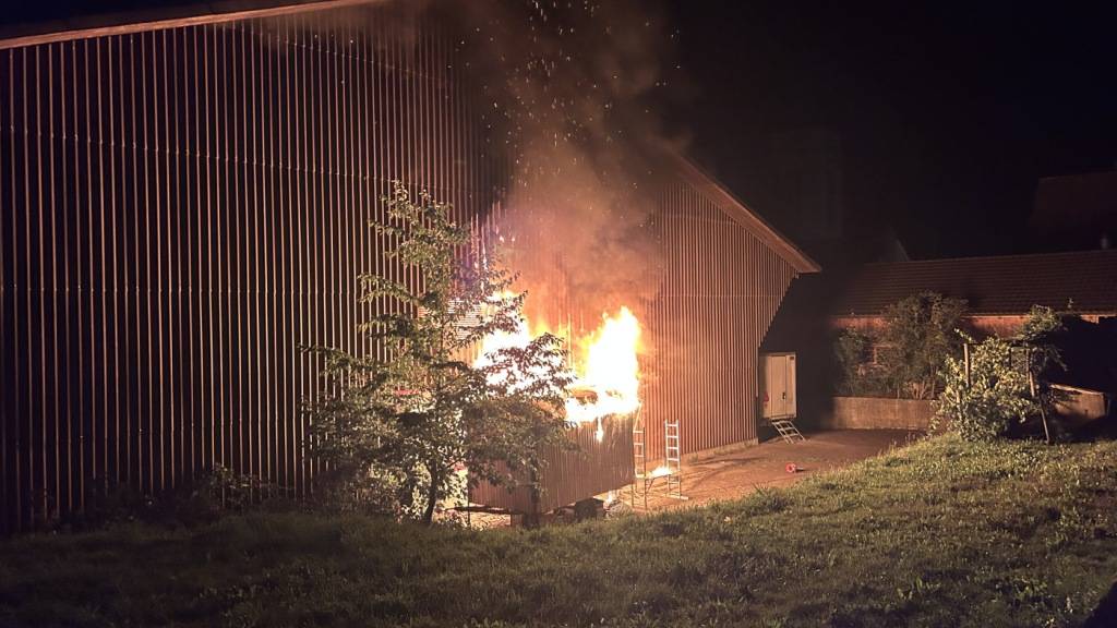 Beim Brand entstand ein Sachschaden von mehreren zehntausend Franken.