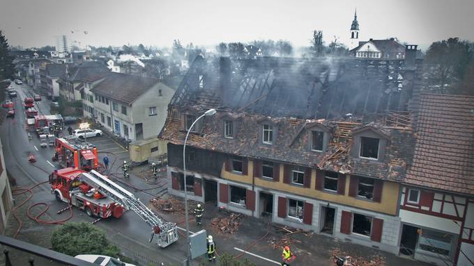 Wie der Phoenix aus der Asche