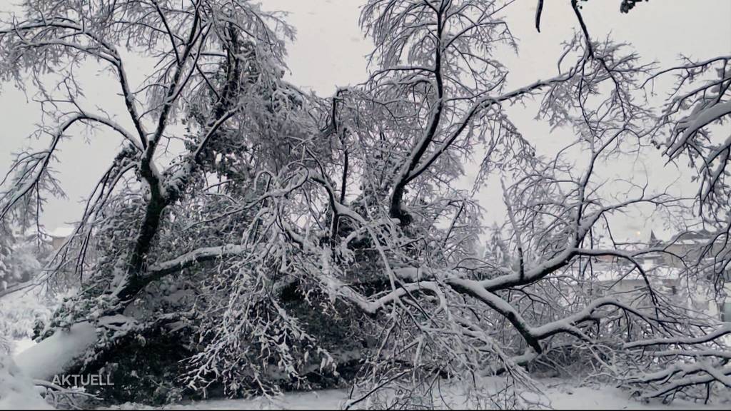 «Flock-Down»: Der Aargau versinkt im Schnee