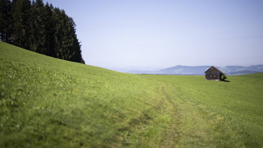 Ostschweizer Kantone stellen sich gegen PFAS-Weisung des Bundes