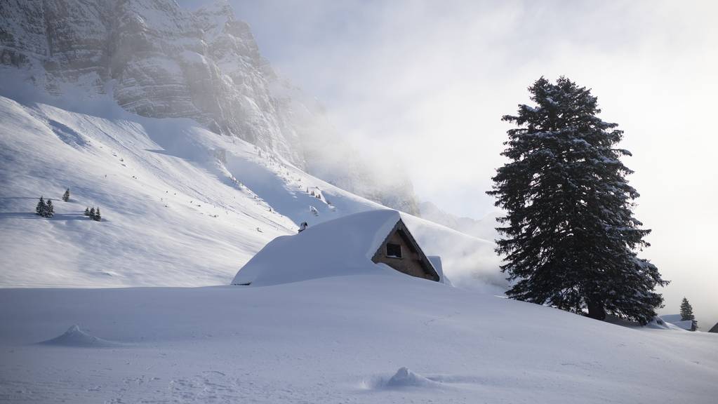 In der Ostschweiz soll es bis zu zwanzig Zentimeter Neuschnee geben.