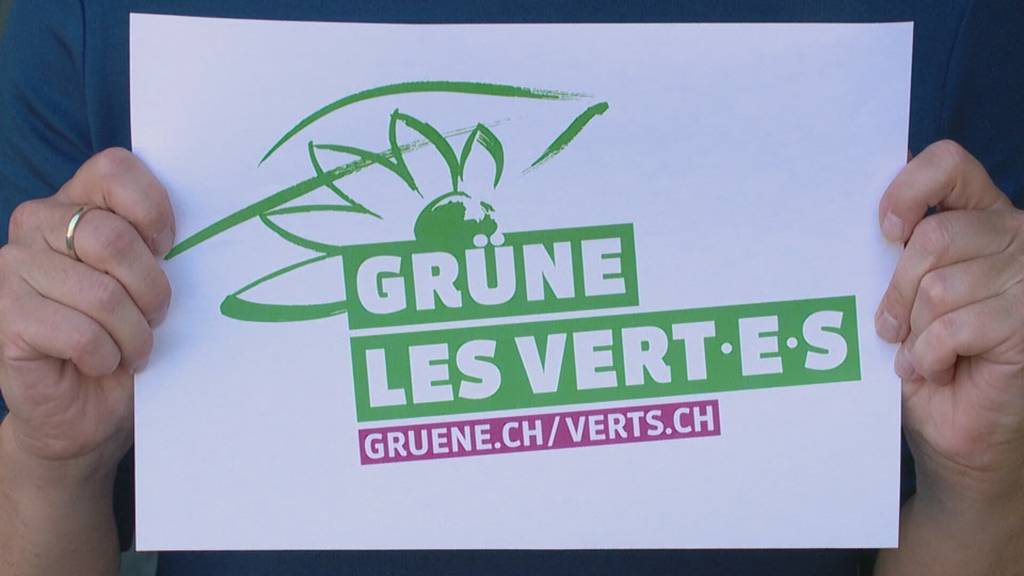 Die Grünen vor den eidgenössischen Wahlen