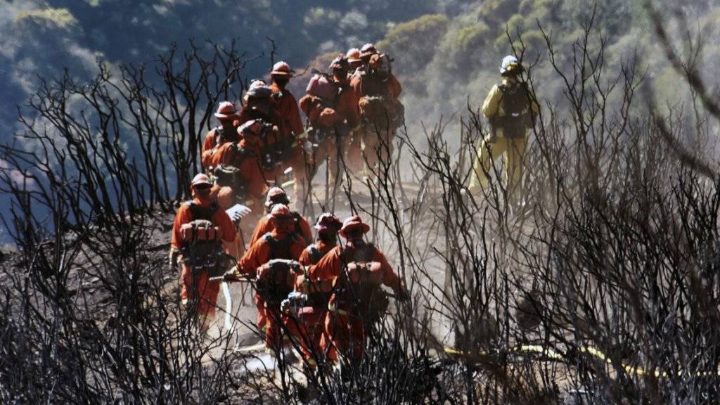 Das sogenannte Thomas-Feuer in Kalifornien nördlich von Los Angeles zerstörte eine Fläche von der Grösse des Kantons Uri. (Archivbild)