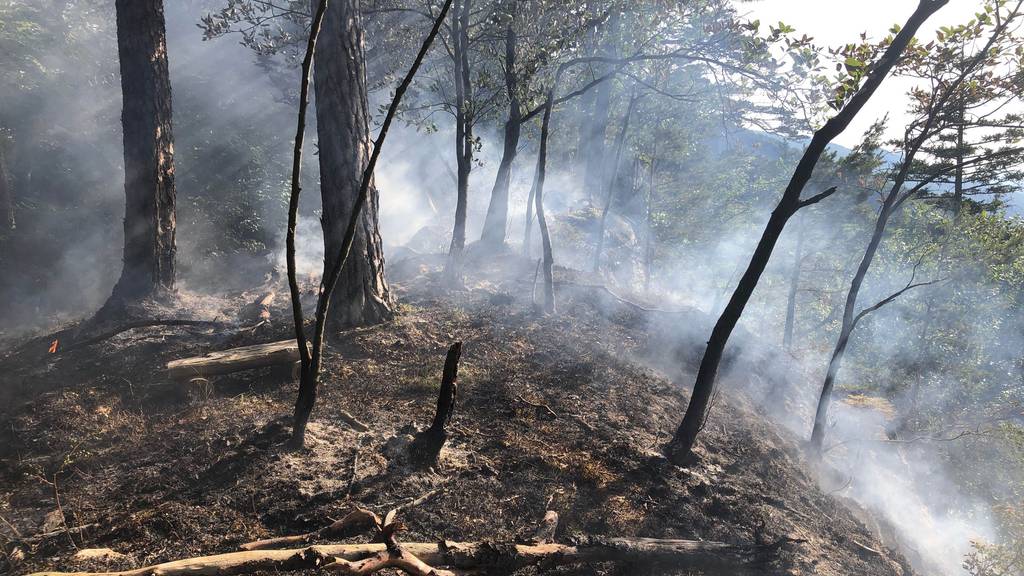 Löschhelikopter im Einsatz: Waldbrand auf dem Roggen