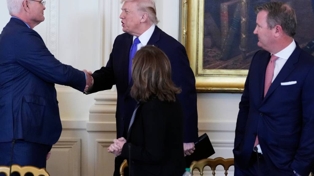 US-Präsident Donald Trump (M) spricht mit dem Vorstandsvorsitzenden von ExxonMobil, Darren Woods (l), während die Vorstandsvorsitzende von Marathon Petroleum, Maryann Mannen (2.v.r) und der Vorstandsvorsitzende von Tallgrass Energy, Matt Sheehy (r), bei einem Treffen mit Führungskräften der Ölindustrie im East Room des Weißen Hauses zusehen. Foto: Alex Brandon/AP/dpa