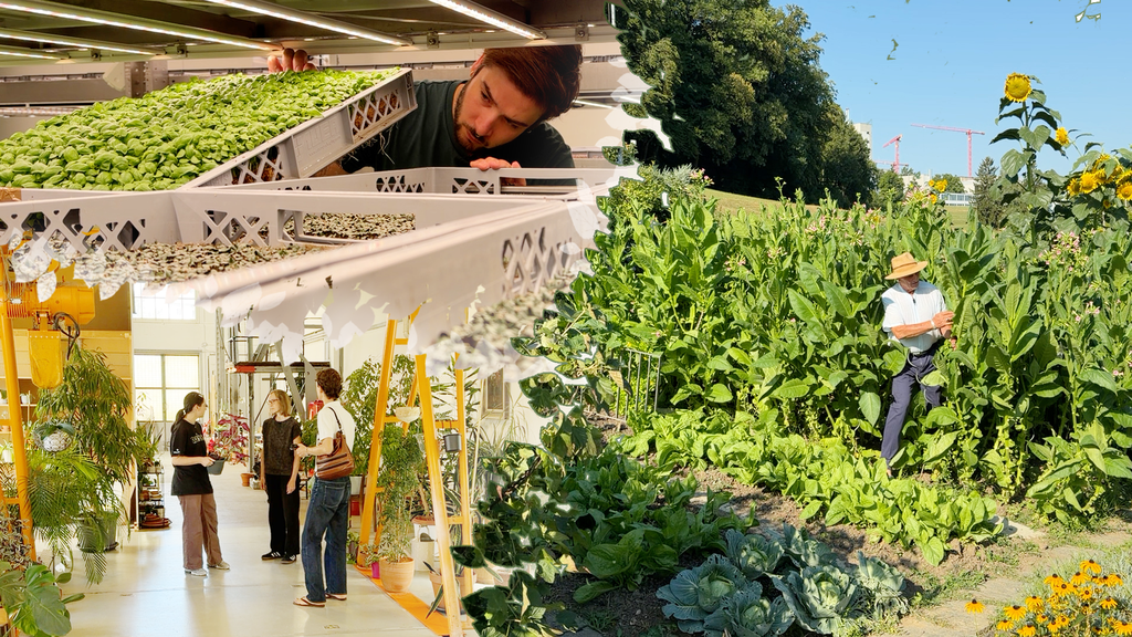 Jedem sein Garten