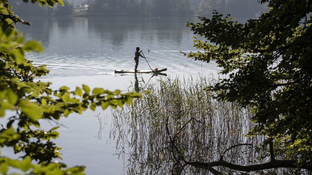 Hallwilersee