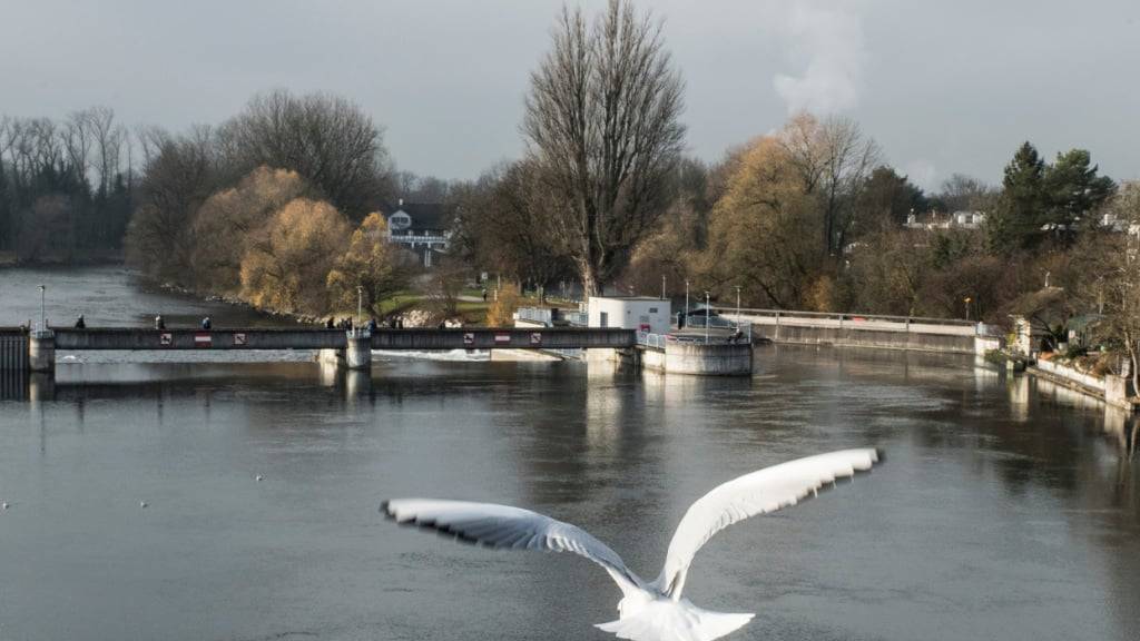 Ein 65-Jähriger ertrank am Montag bei einem Badeunfall in der Limmat. Er ging bei der Werdinsel in Zürich unter.  (Archivbild)