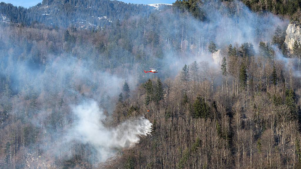 Deshalb haben Zürcher Feuerwehren keine Angst vor Waldbränden