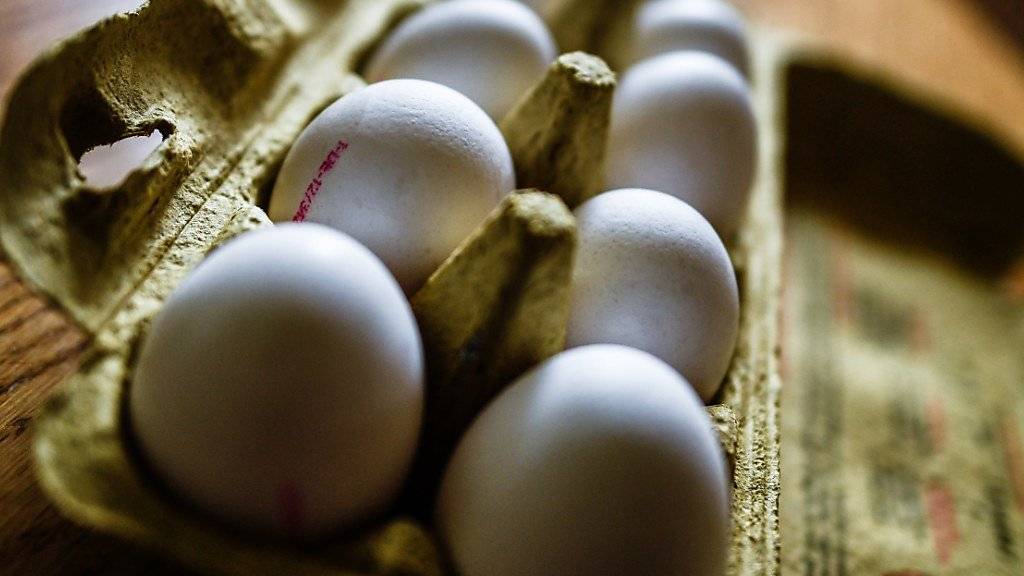 Die Behörden haben in Schweizer Eiern keine Spuren des Insektizids Fipronil gefunden. (Archivbild)