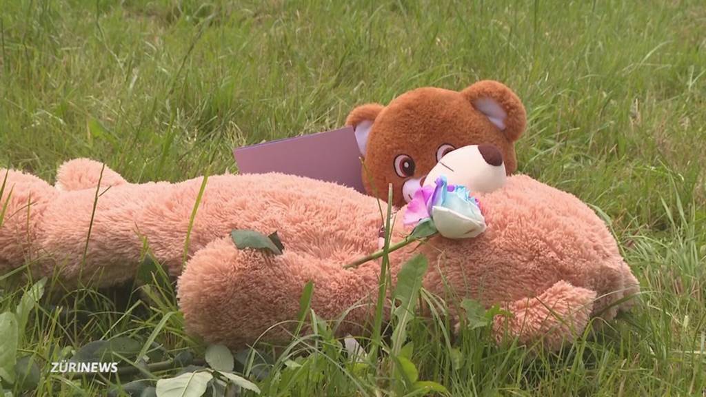 Jugendliche Täterin: 14-Jährige soll in Berikon 15-jährige Schulkollegin umgebracht haben