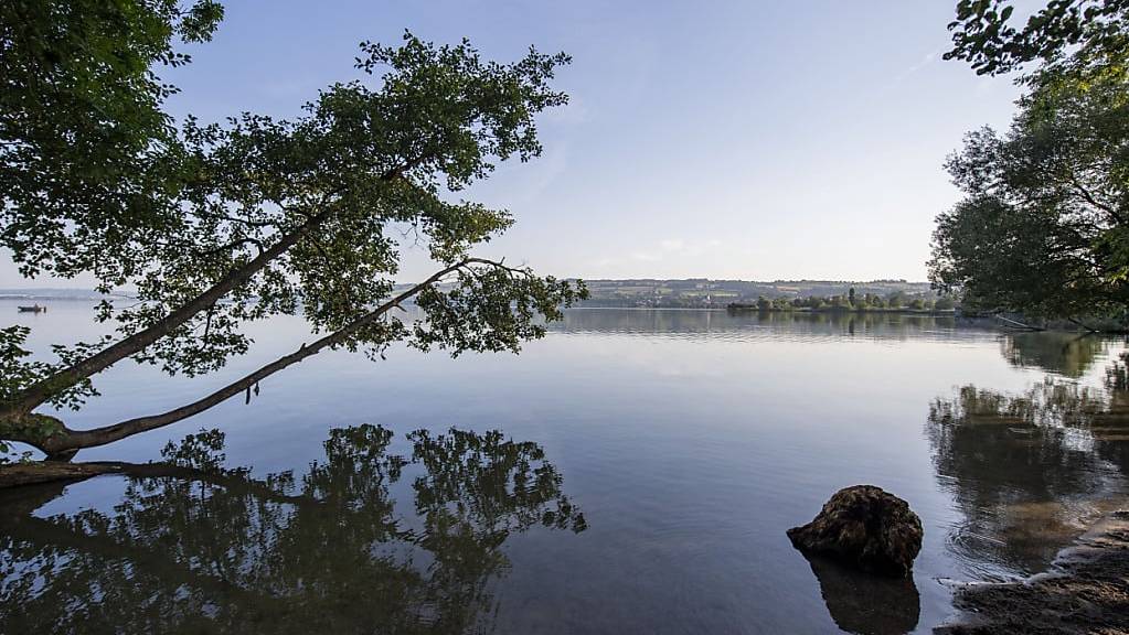 Die Wasserqualität in diversen Zentralschweizer Seen ist laut der Aufsichtskommission Vierwaldstättersee einwandfrei. So auch im Sempachersee. (Archivbild)