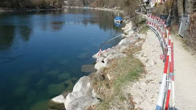 Aareraum von der Seftau bis zur Halenbrücke wird aufgewertet