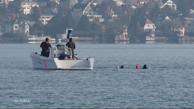 Transportdrohne stürzt in Zürichsee