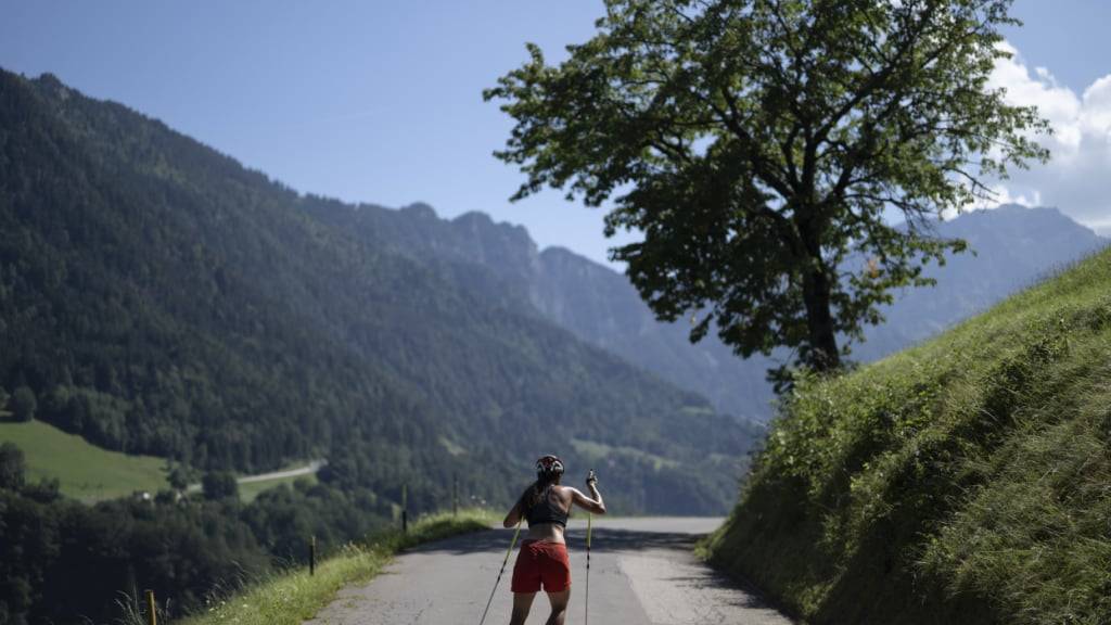 Der Kanton Uri hat das Rollskifahren auf öffentlichen Strassen neu geregelt. (Symbolbild)