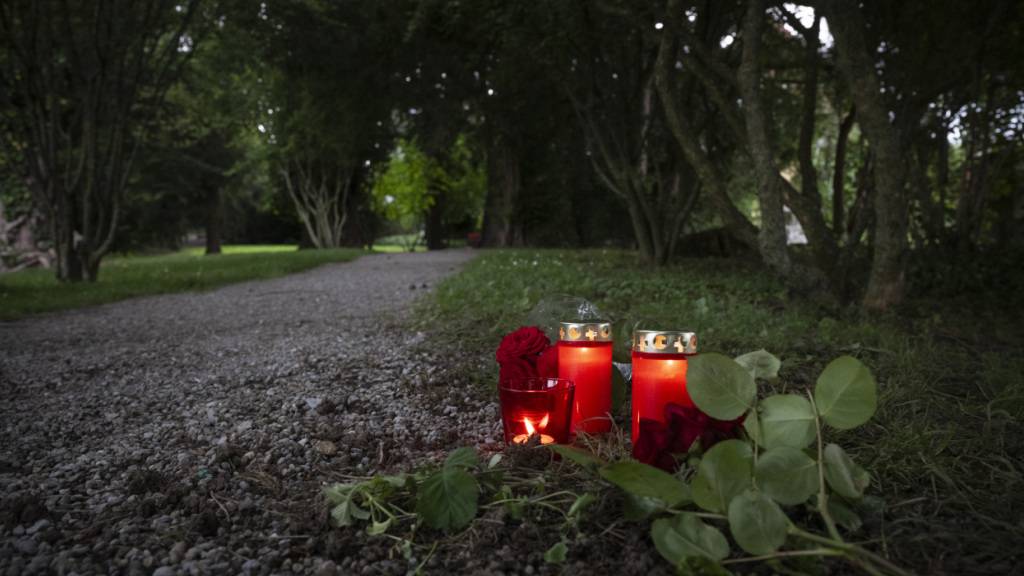 In einem psychotischen Schub tötete ein 19-Jähriger im Alma Park in Männedorf eine Joggerin. Nun kommt er deswegen vor Gericht. (Archivbild)