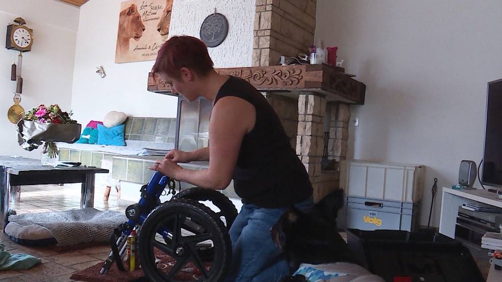 Hobby-Bastlerin fertigt Rollstühle für behinderte Hunde an